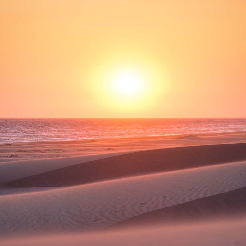 the-sand-dunes-during-sunset-and-strong-wind-summ-Q6A59R5-800x800
